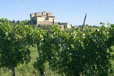 Castle of Torrechiara and vineyard