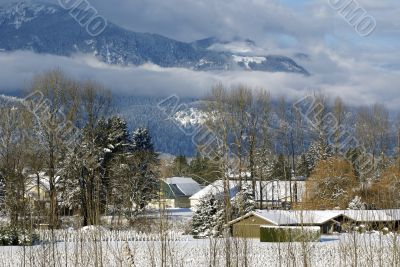 Valley Scene