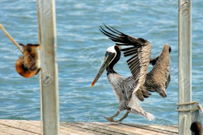 3-Point Landing