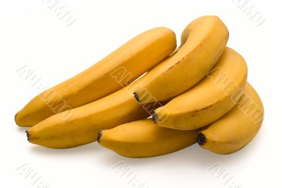 Bananas