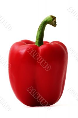 Red pepper