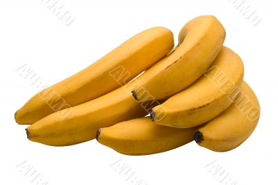 Bananas
