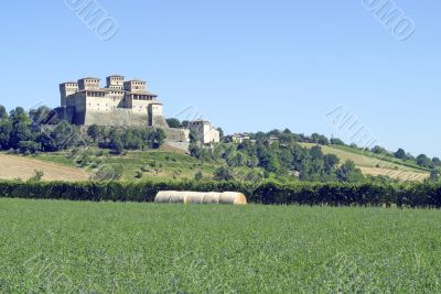 Castle of Torrechiara and vineyard