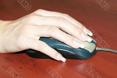 mouse in hand
