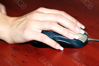 mouse in hand