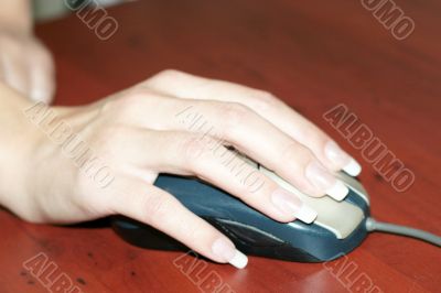 mouse in hand