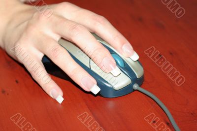 mouse in hand