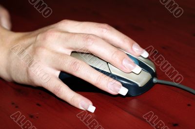 mouse in hand