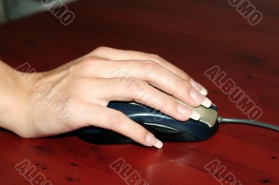 mouse in hand