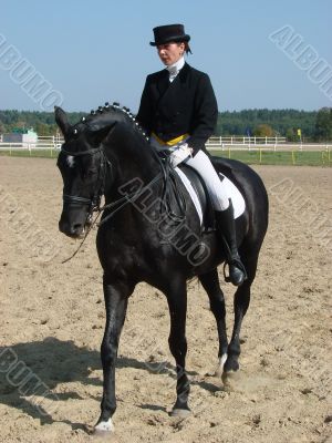 equestrian woman on black stallion horse