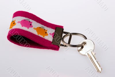 Violet red key ring