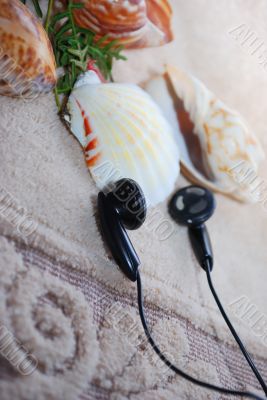 Music and Shells