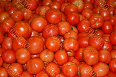 Tomatoes