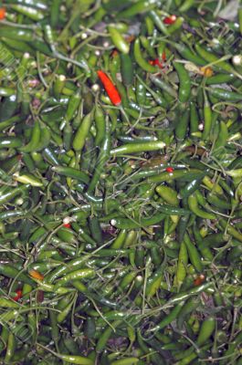Green Chillies