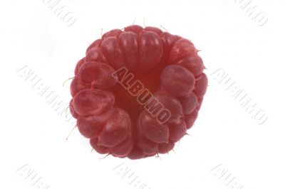 raspberry