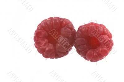 raspberry