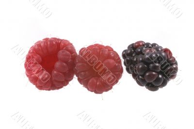 raspberry