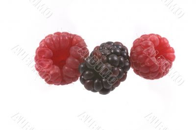 raspberry