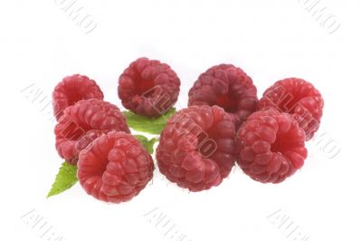 raspberry