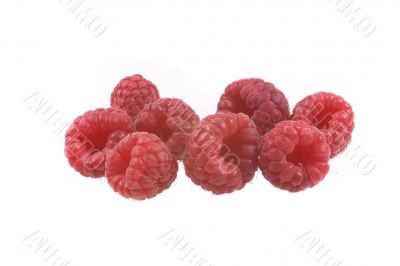 raspberry