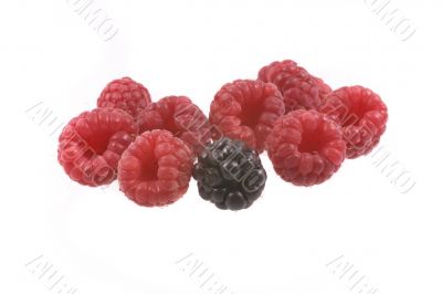 raspberry