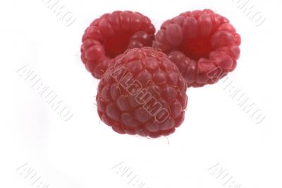 raspberry