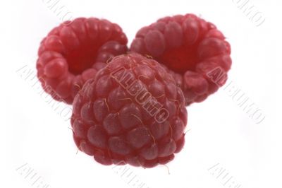 raspberry