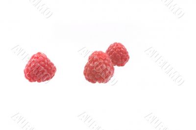 raspberry