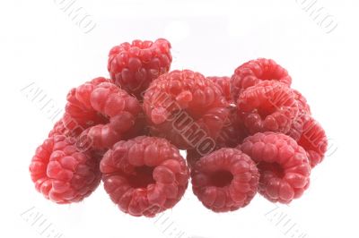 raspberry
