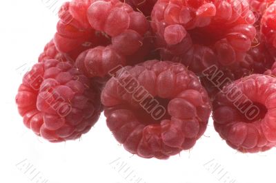 raspberry