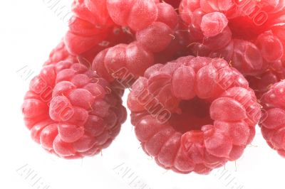 raspberry