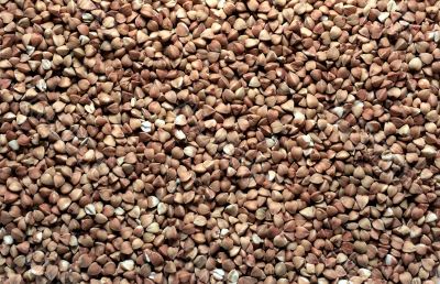 Buckwheat background