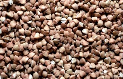 Buckwheat closeup background