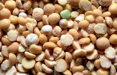 Dried pea closeup background