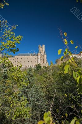 castle towers between trees