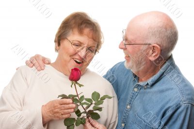 Happy Senior Couple with Red Rose
