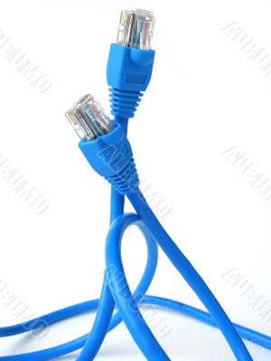 network cable