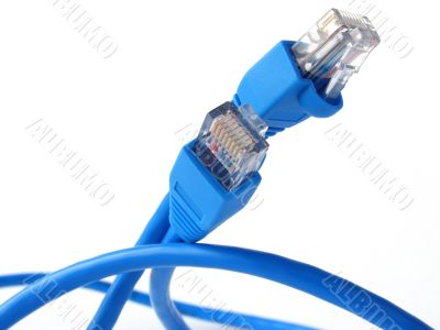 network cable