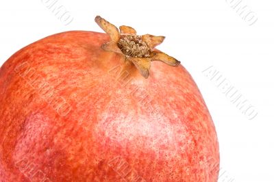 Pomegranate