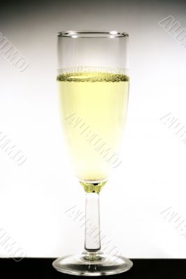 liquor-glass