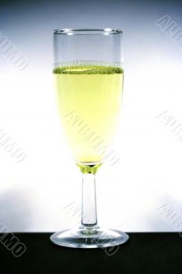 liquor-glass