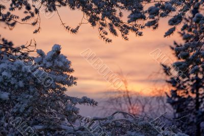 winter sunrise landscape
