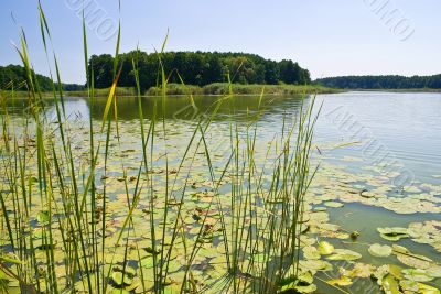 Island on Lake