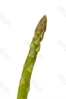 asparagus
