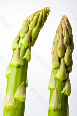 asparagus