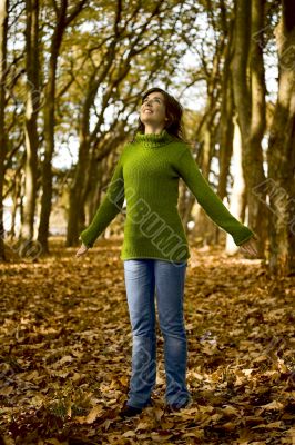 Autumn Beauty