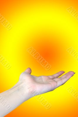 feminine hand