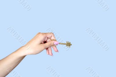 feminine hand