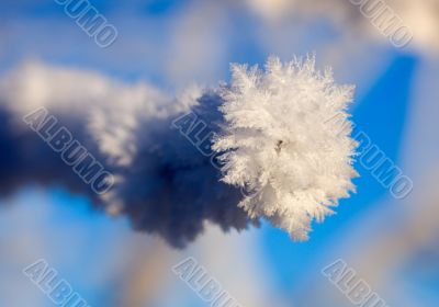 Hoarfrost close up