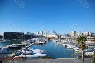 forum port at barcelona
